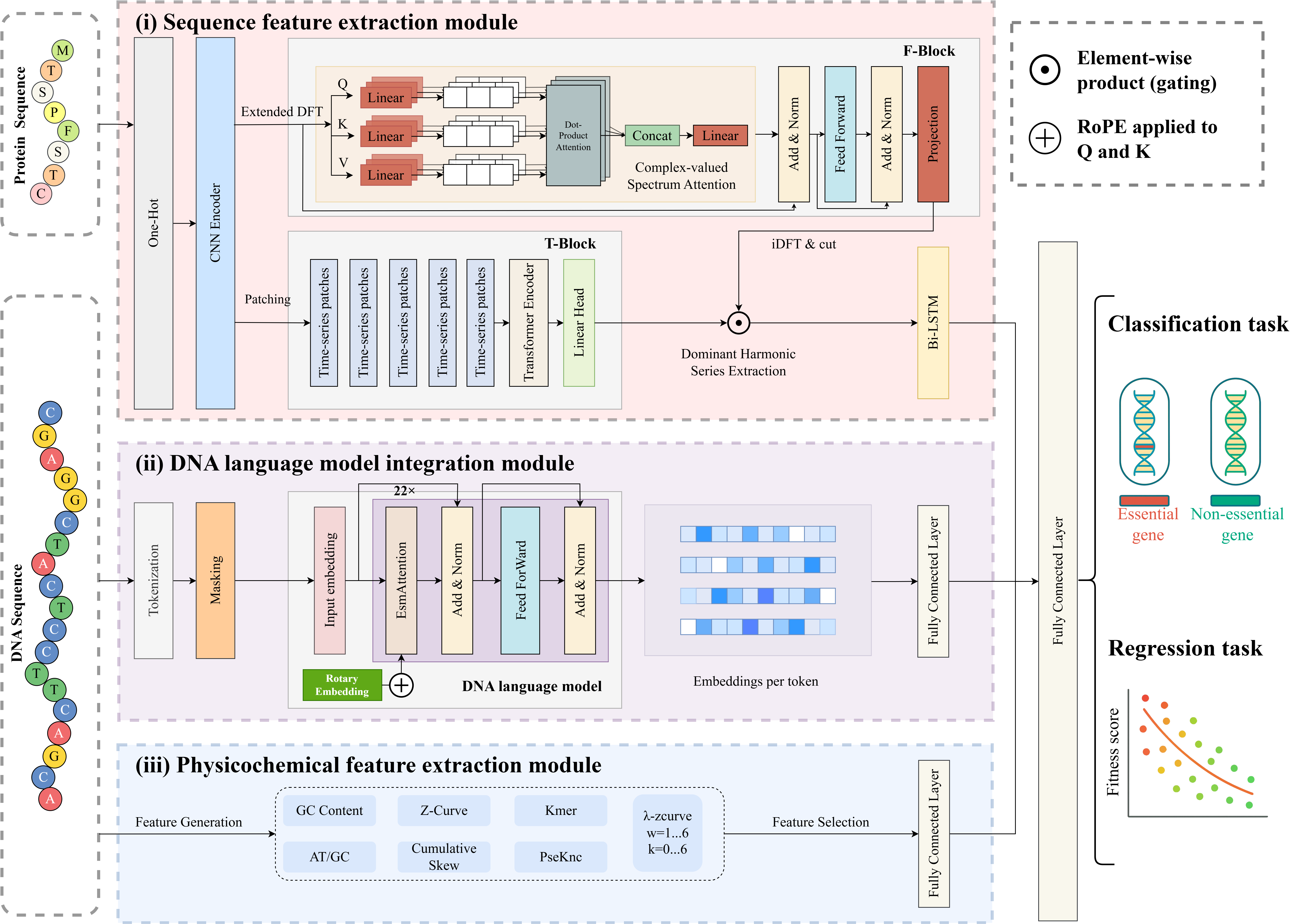 EssTFNet Model Architecture